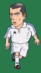 Zidane.jpg (8515 bytes)